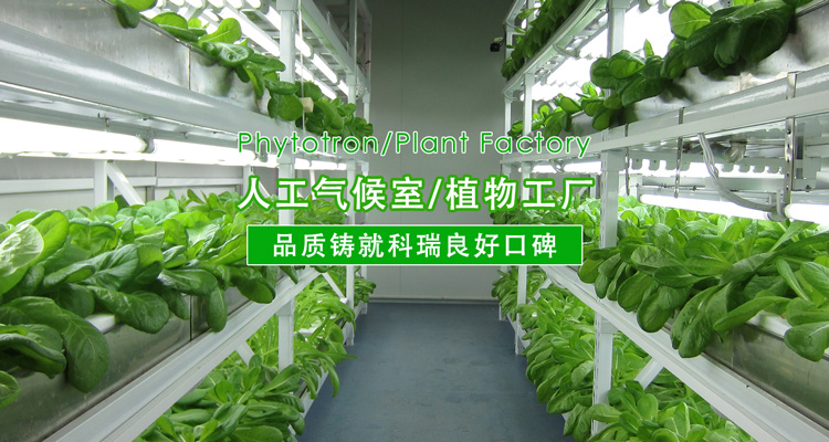 2-http://www_krkj_net.yzlsdhb.cn/uploads/190724/1-1ZH416094V41.jpg